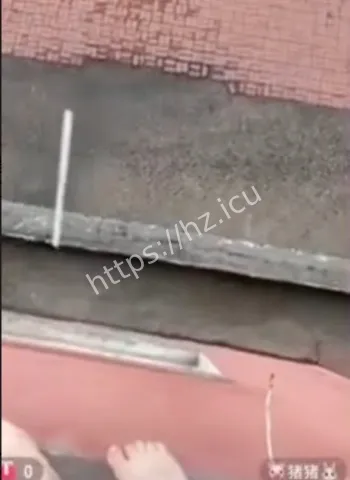 连麦怂恿跳楼