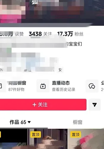 1700万打赏风波