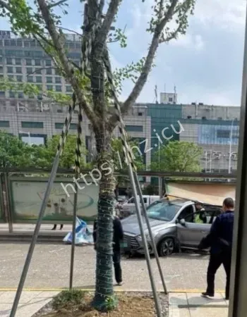 绍兴上虞车祸