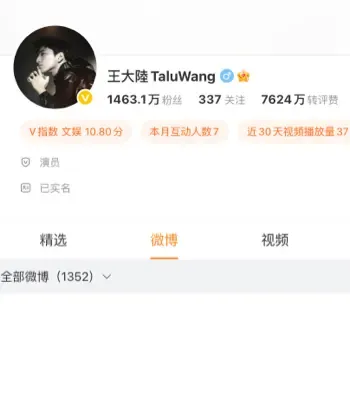 王大陆非法查询个资案
