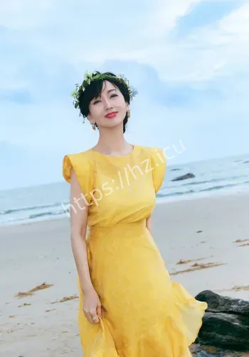 公开物料梳理