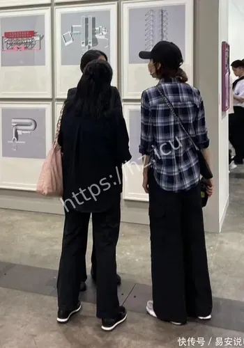 公开物料梳理
