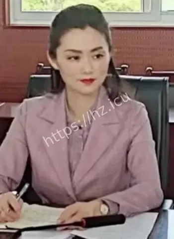 气质局长落马