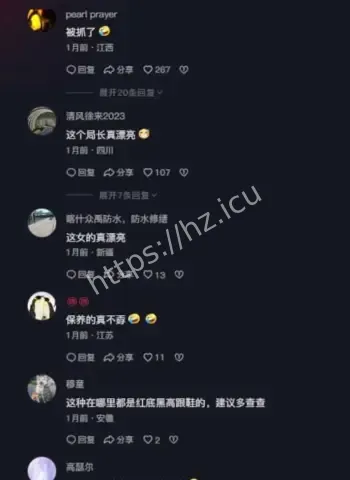 气质局长落马