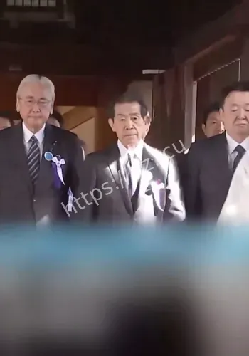 后续进展关注