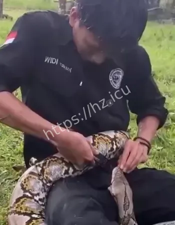 惊险视频流出