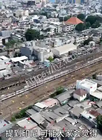 当地人吃蝙蝠喝蛇血
