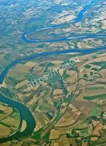 网友直呼