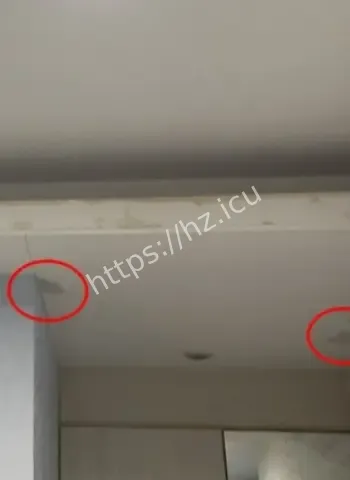 爱尔丽