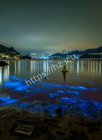 阿凡达梦幻世界