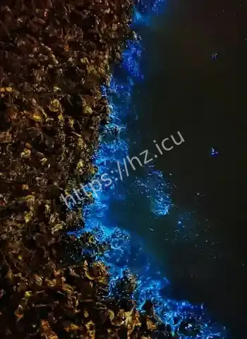 重塑现实版