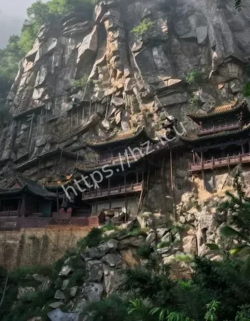 调查员高烧失语