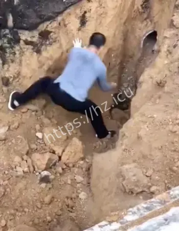 引全网疯狂转发