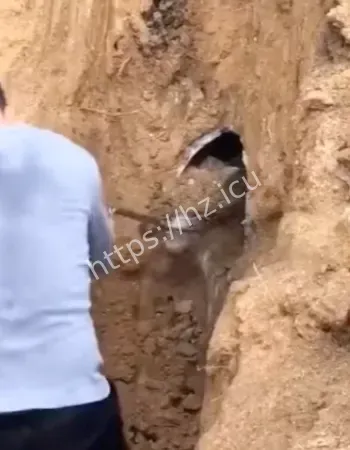 全程不眨眼