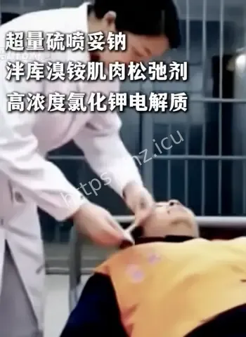明珍珍死刑执行细节曝光