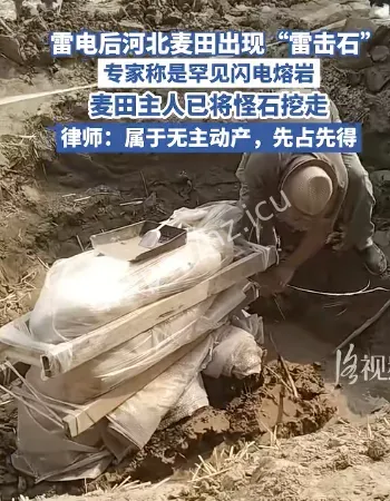 律师称属无主动产
