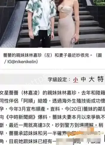 林嘉珍违法代孕