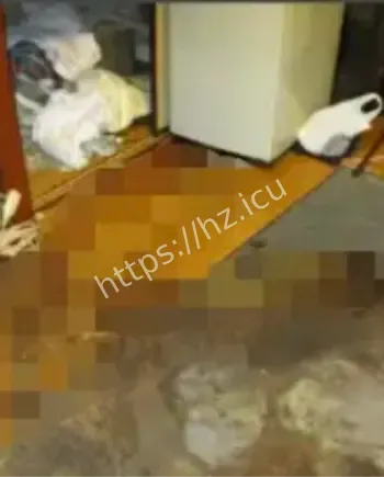 自杀类型利他性自我性