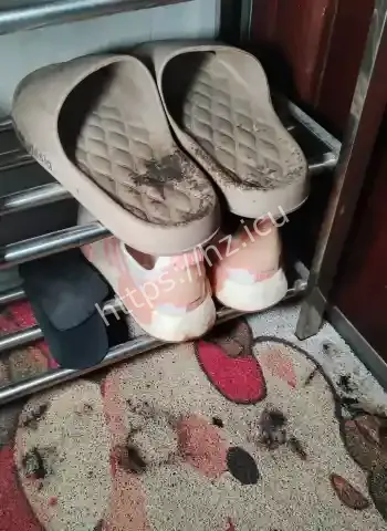 思思
