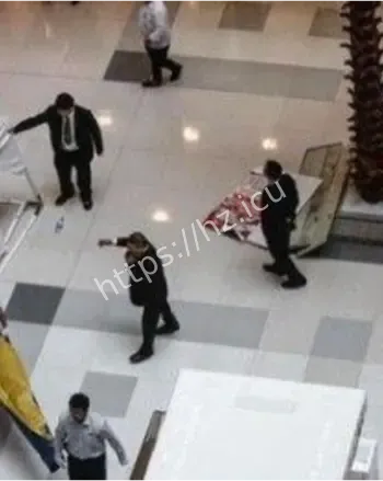 上海港汇多次跳楼