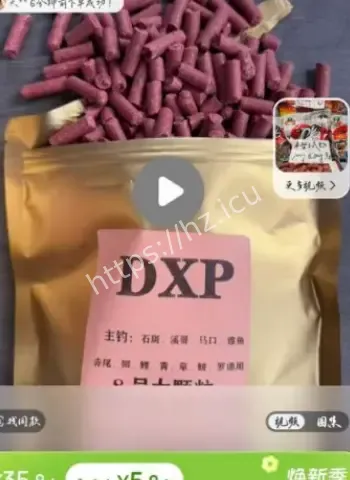 催眠的鱼饵