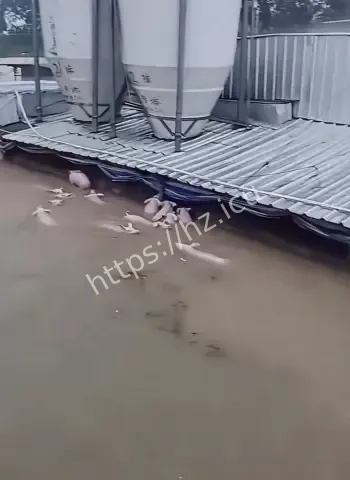 广西横州六蓝水库溃坝惨状曝光