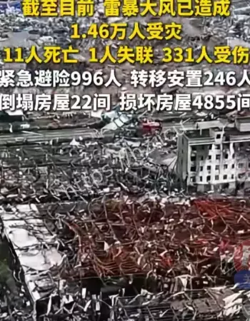 网友直呼