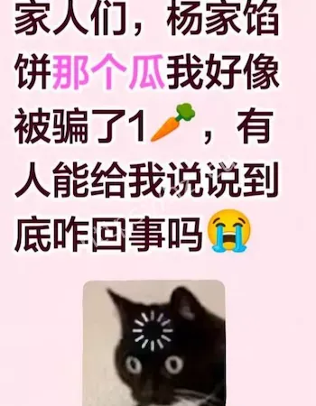 儿子打亲妈